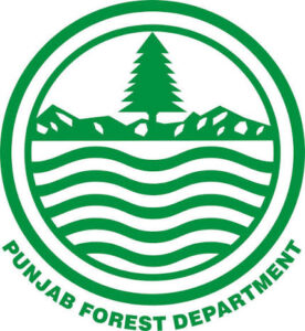 Punjab Forest Department